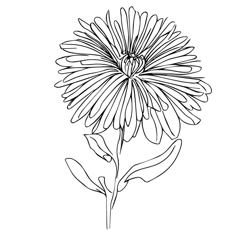 The Aster Crypto Hype: What It Is vs. What They Want You to Believe